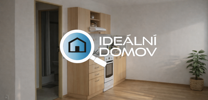 Pronájem bytu 1KK, 30 m2, Brno- Dačického