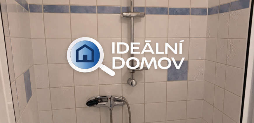 Pronájem bytu 1KK, Brno- Hálkova