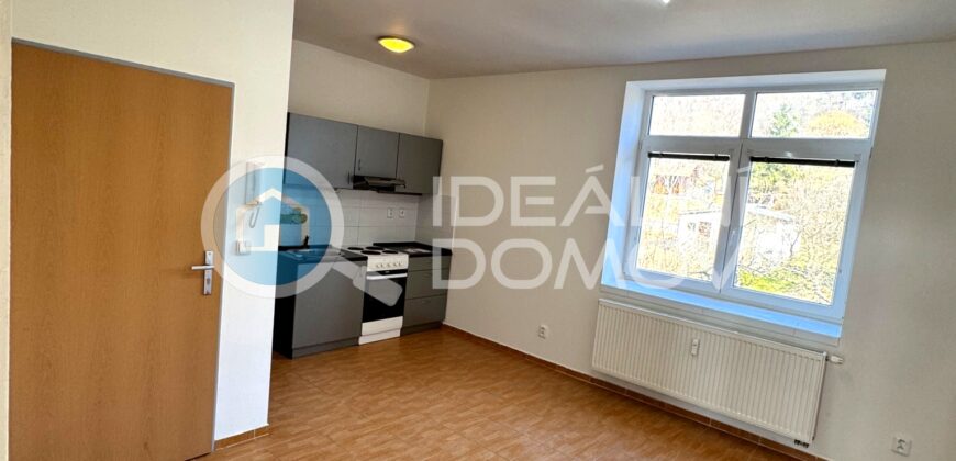 Pronájem bytu 2+kk, 43 m², Brno – Viniční