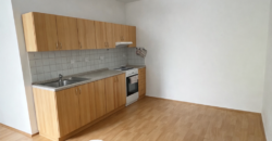 Pronájem bytu 2+kk, 44 m² s terasou 20 m², Brno – Husovice, ul. Dačického
