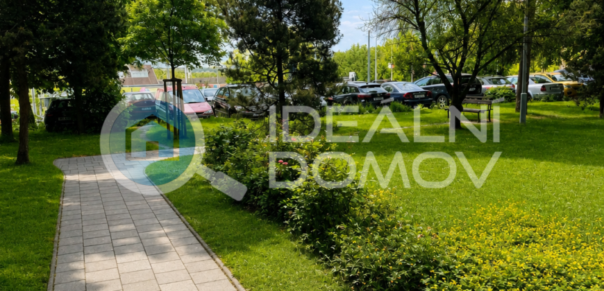 Pronájem bytu 2+1, Brno- střed, ulice Pšeník