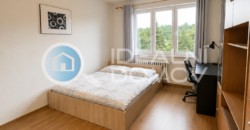 Pronájem bytu 2+1, Brno- střed, ulice Pšeník